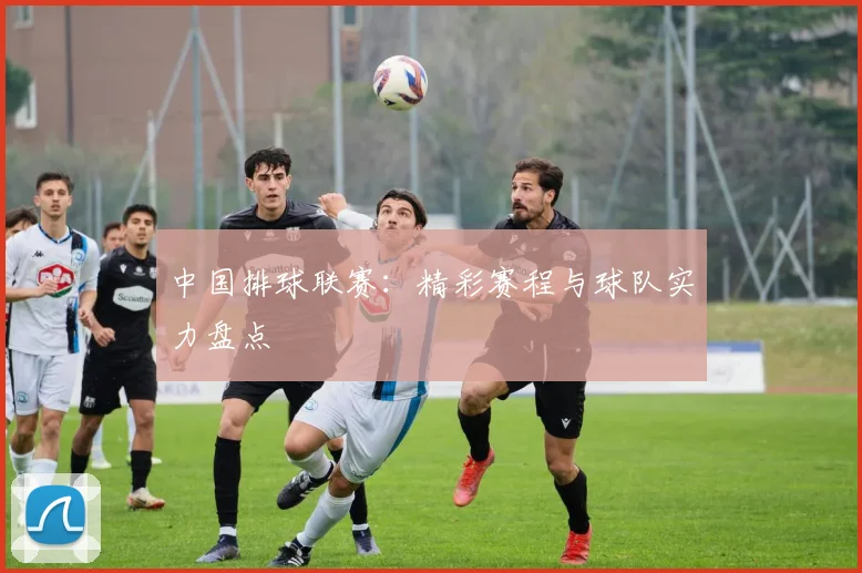中国排球联赛：精彩赛程与球队实力盘点