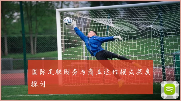 国际足联财务与商业运作模式深度探讨