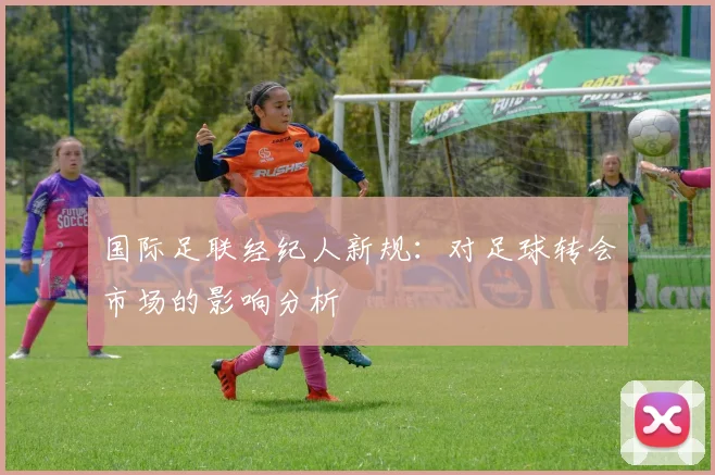 国际足联经纪人新规:对足球转会市场的影响分析