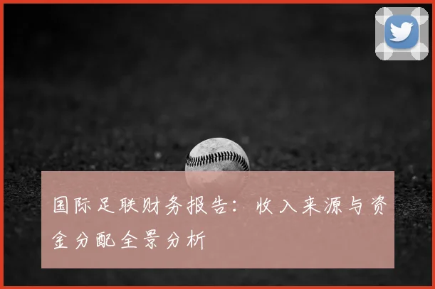 国际足联财务报告：收入来源与资金分配全景分析