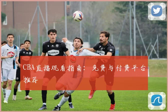 CBA直播观看指南:免费与付费平台推荐