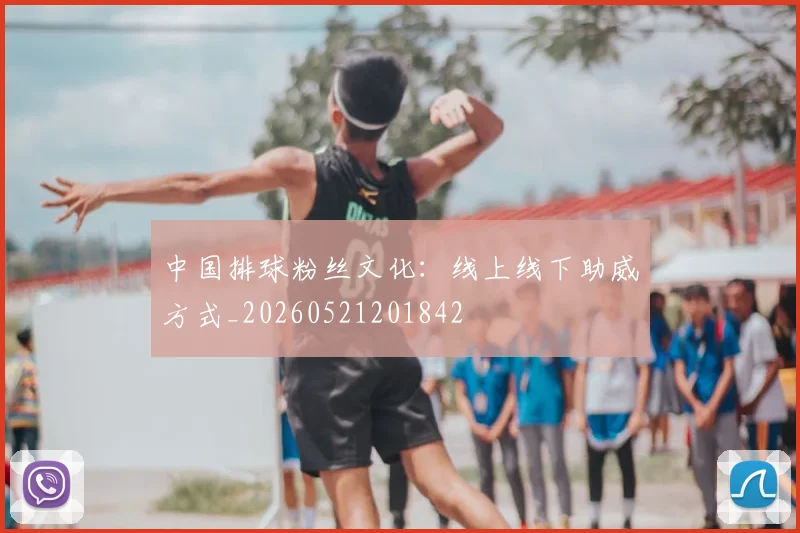 中国排球粉丝文化：线上线下助威方式_20260521201842